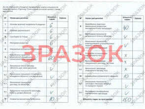 Выпускные документы 9 Выпускные документы kosmet 3 9