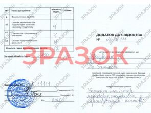 Выпускные документы 19 Выпускные документы manik 2 19