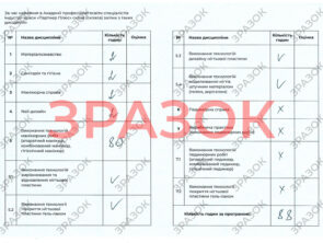 Выпускные документы 20 Выпускные документы manik 3 20