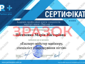 Выпускные документы 22 Выпускные документы manik 5 22