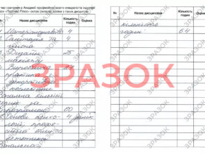 Выпускные документы 36 Выпускные документы vizazh1 36